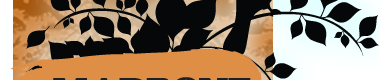 Branch