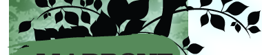 Branch