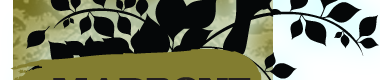 Branch
